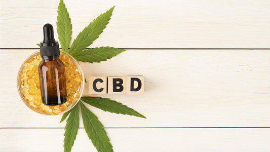 Introducción al CBD: ¿Qué es? y Cómo Puede Mejorar tu Bienestar