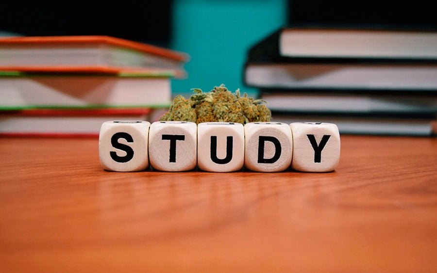 ¿Marihuana Para Ayudarte a Estudiar? - GreenGold Vape Shop